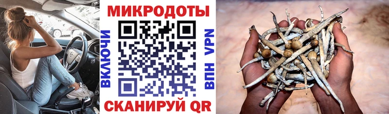 купить цена Северодвинск Псилоцибиновые грибы Psilocybe